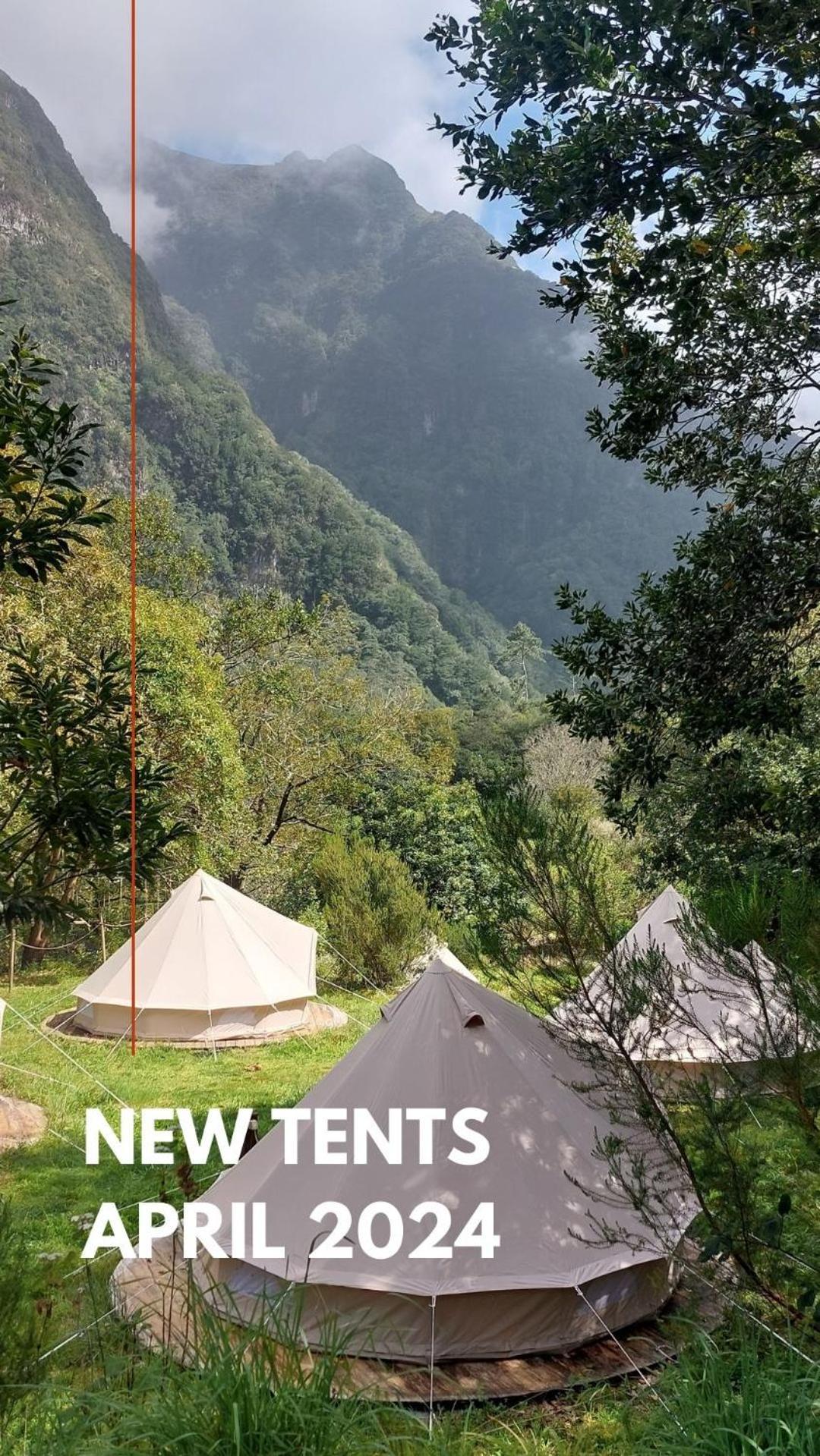 Nature Retreat - Laurel Forest 세이살 외부 사진