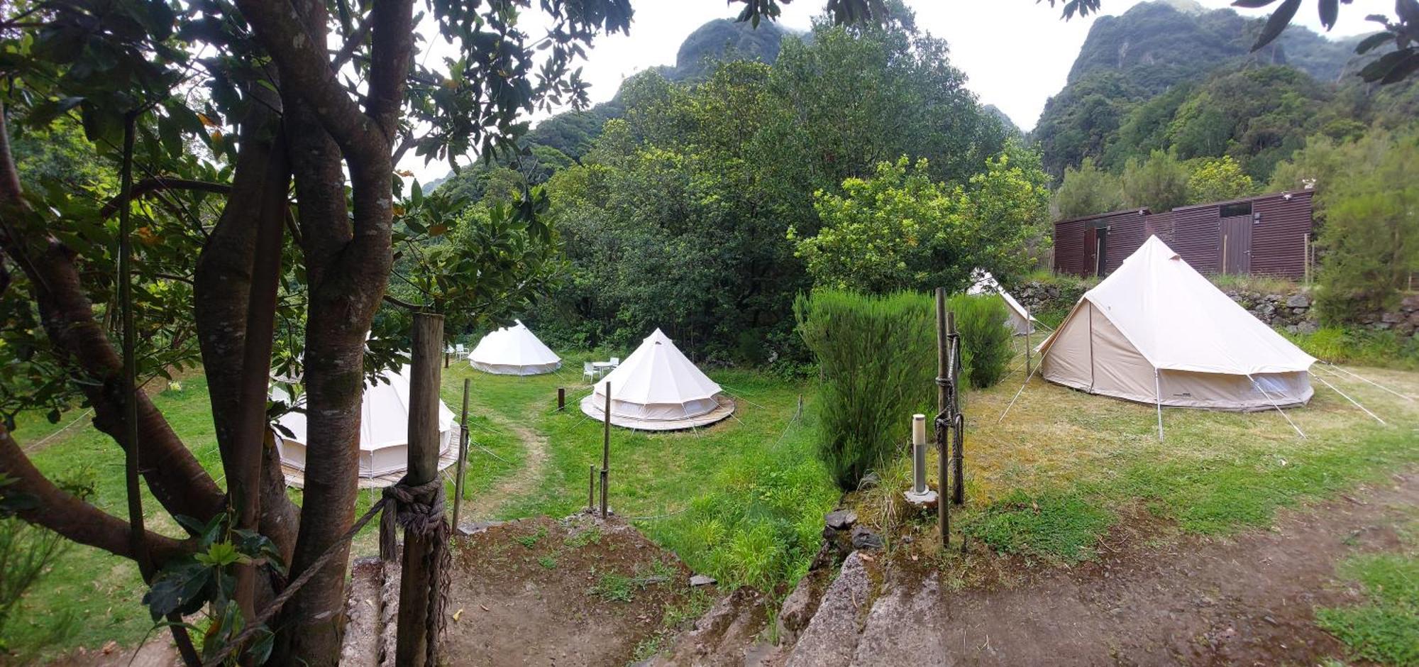 Nature Retreat - Laurel Forest 세이살 외부 사진